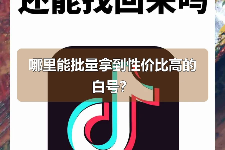 哪里能批量拿到性价比高的白号?